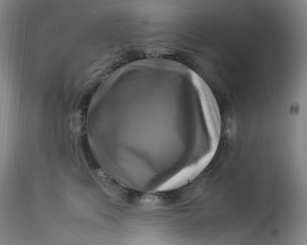 X0000113220519200910011348