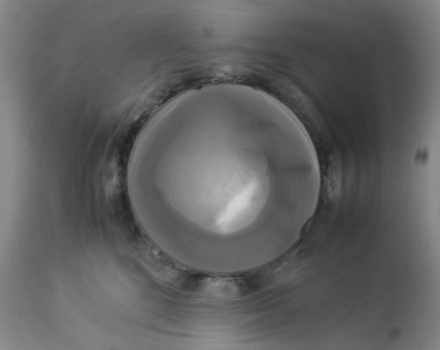 X0000113220520200910011348