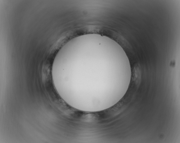 X0000113220522200910011348