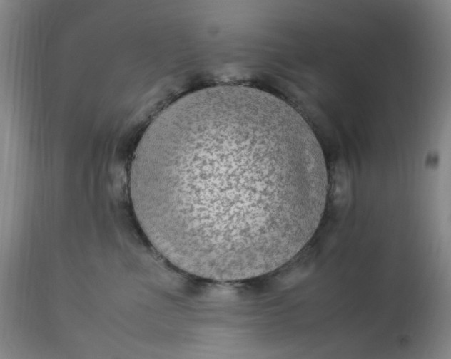 X0000113220523200910011348