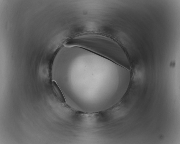 X0000113220524200910011348