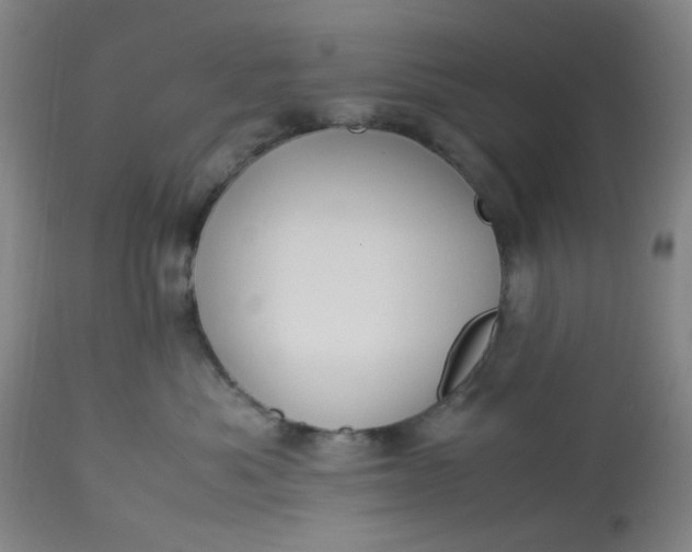 X0000113220525200910011348