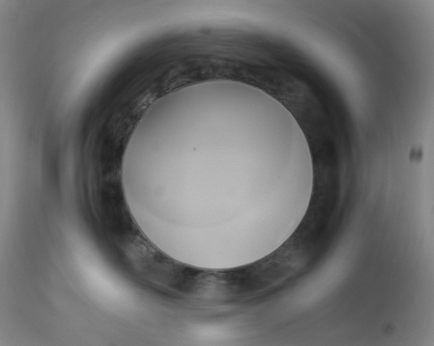 X0000113220526200910011348