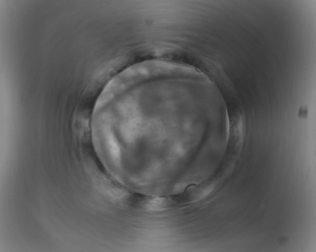 X0000113220527200910011348