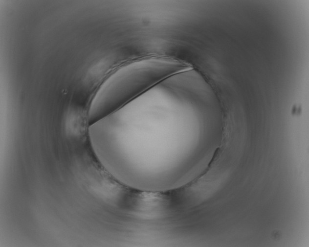 X0000113220528200910011348