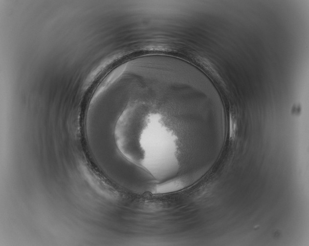 X0000113220531200910011347