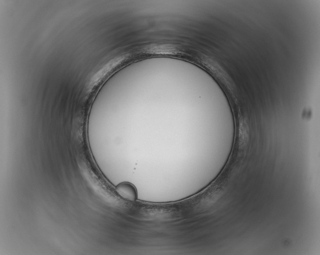 X0000113220533200910011347