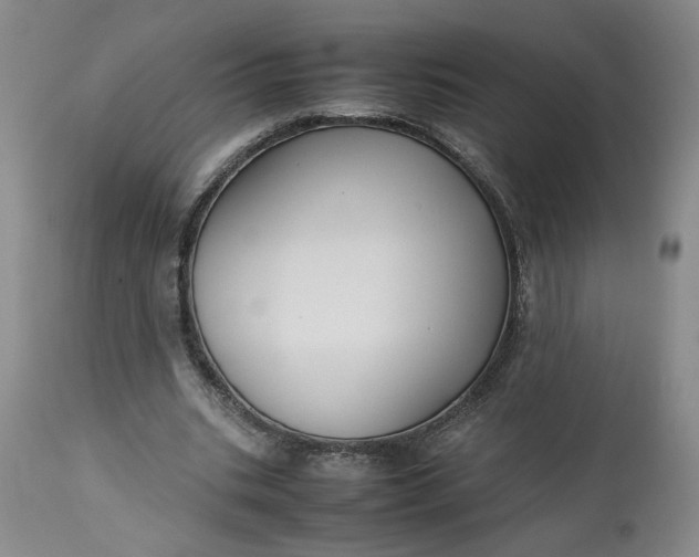 X0000113220535200910011347