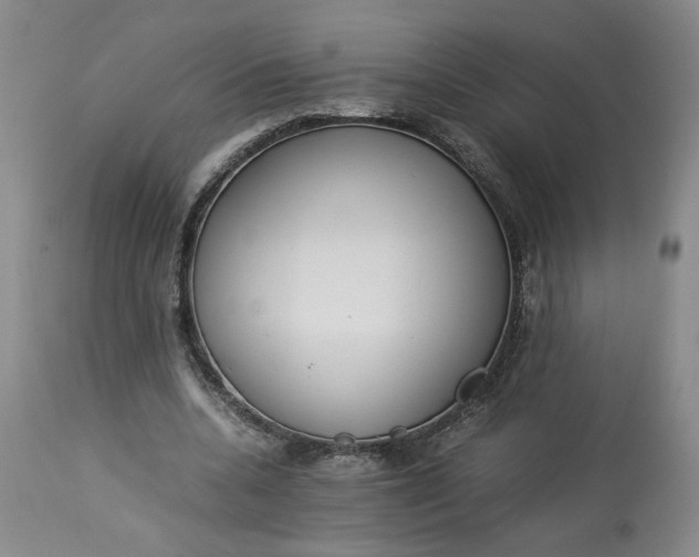 X0000113220536200910011347