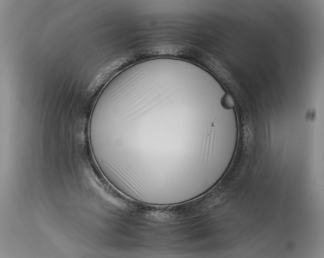 X0000113220537200910011347