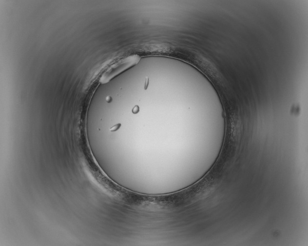 X0000113220538200910011347