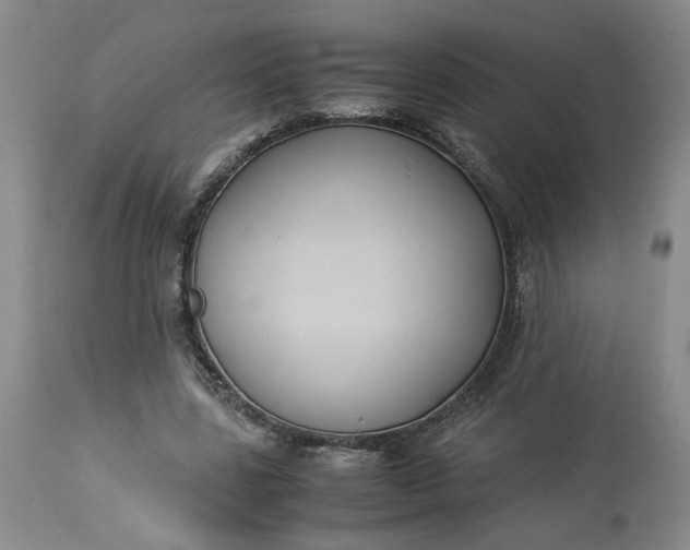 X0000113220539200910011347