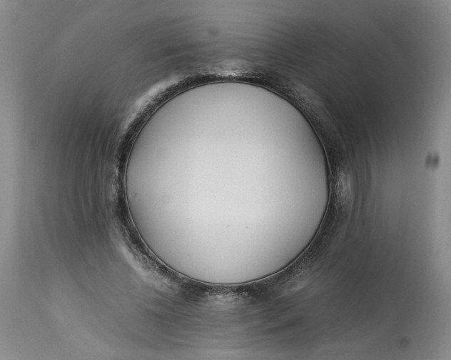 X0000113220540200910011347