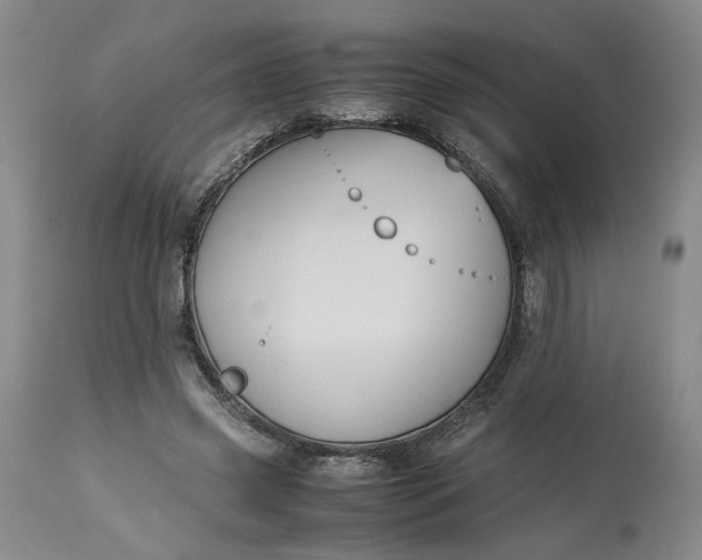 X0000113220541200910011347