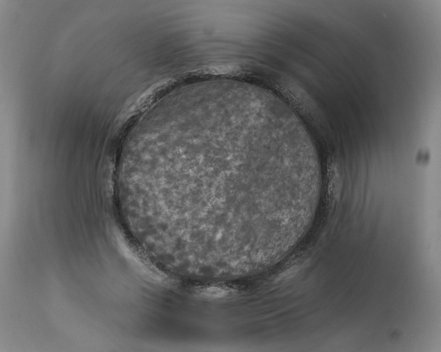 X0000113220542200910011347