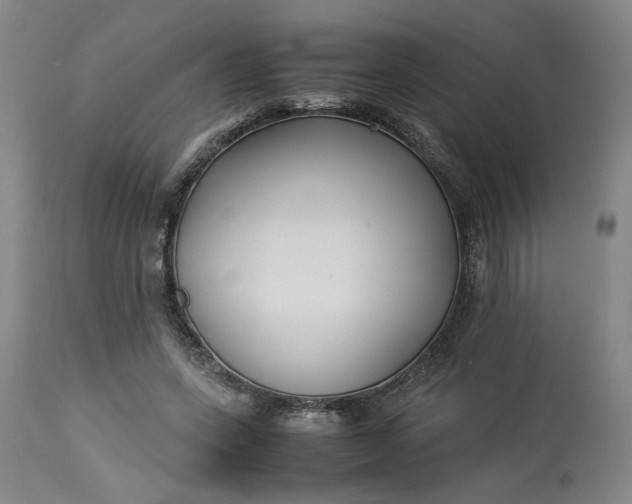 X0000113220543200910011347