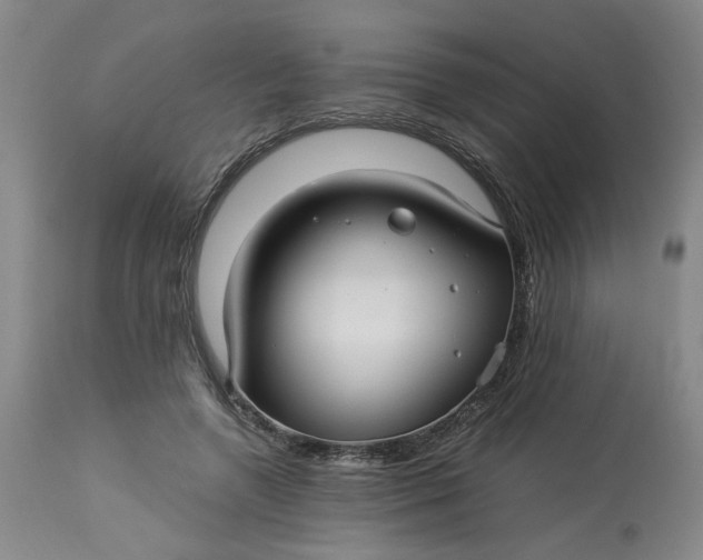 X0000113220546200910011347