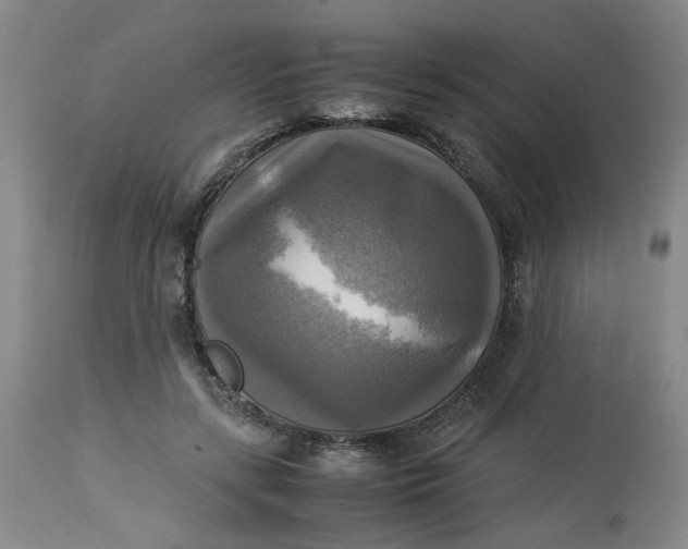 X0000113220547200910011347