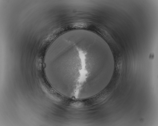 X0000113220551200910011348