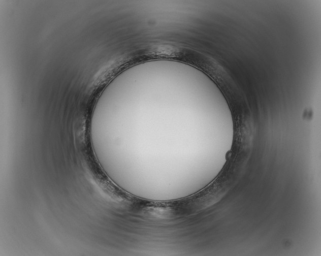 X0000113220552200910011348