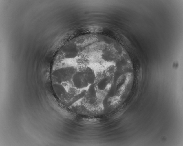 X0000113220553200910011348