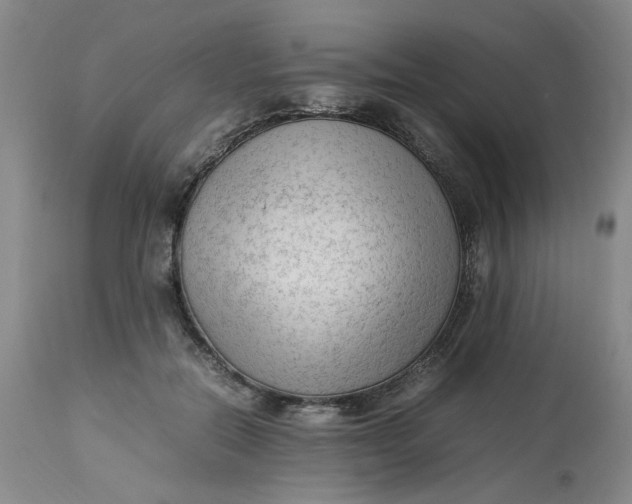 X0000113220554200910011348