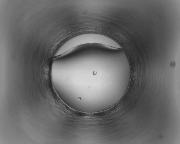 X0000113220556200910011348