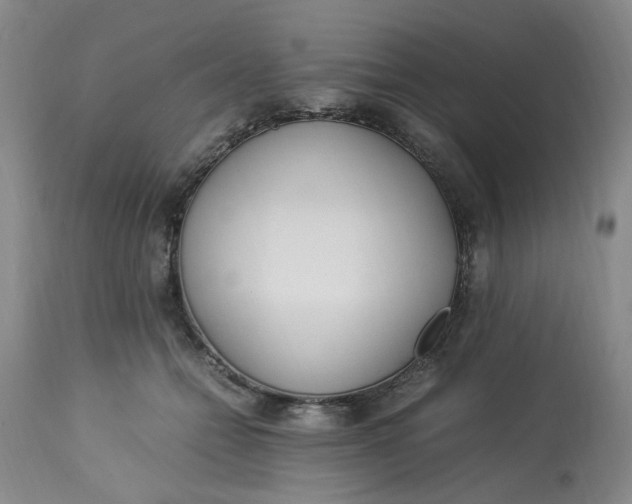 X0000113220558200910011348