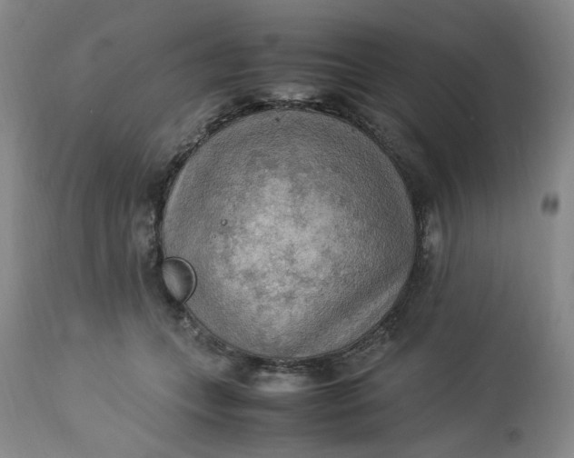 X0000113220559200910011348