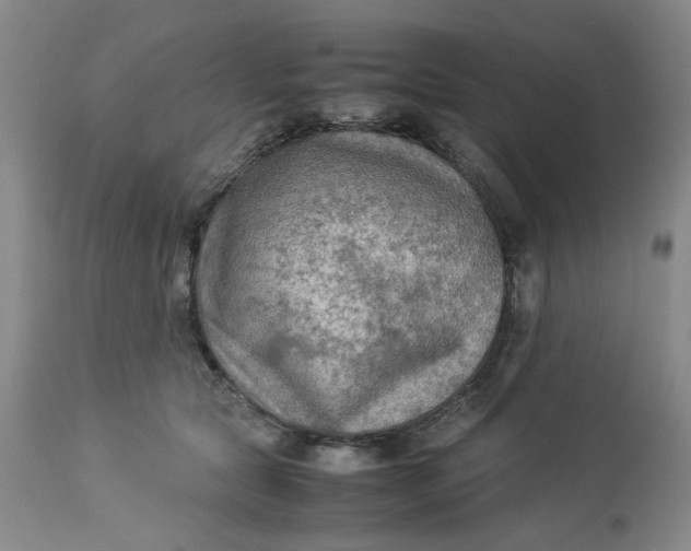 X0000113220561200910011348