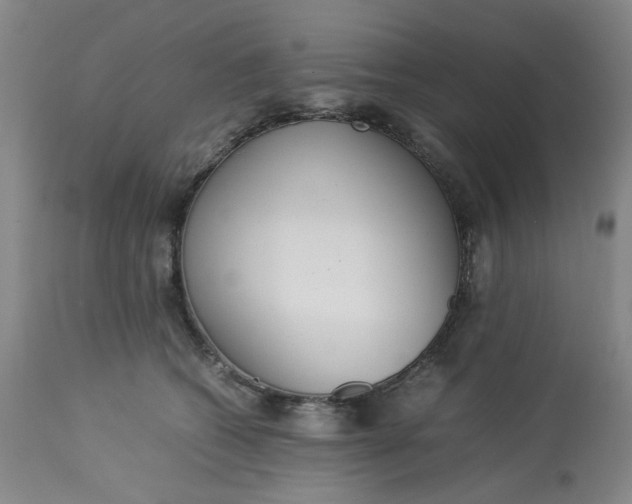 X0000113220562200910011348