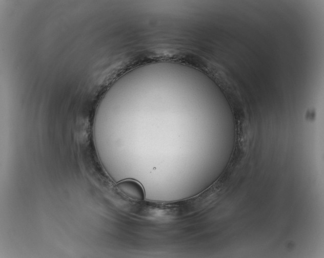 X0000113220563200910011348