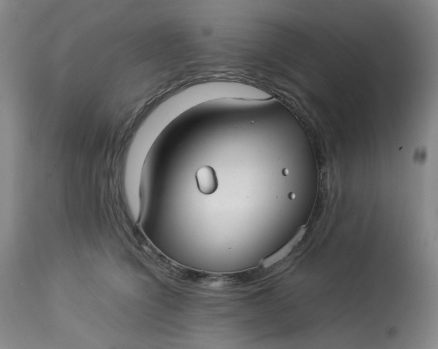 X0000113220564200910011348