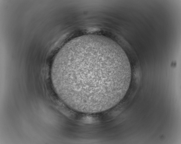 X0000113220565200910011348