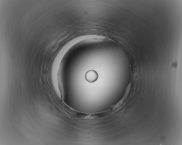 X0000113220566200910011348