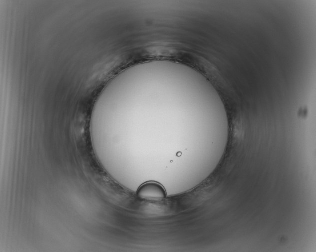 X0000113220567200910011348