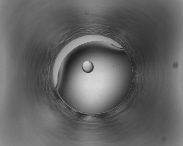 X0000113220568200910011348