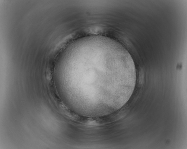 X0000113220569200910011348