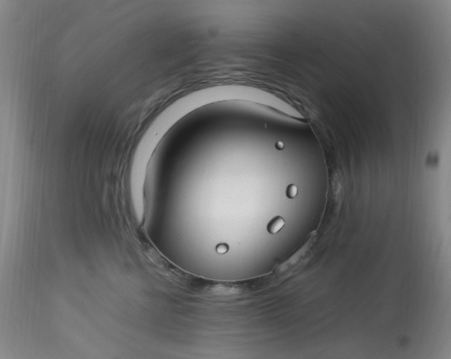 X0000113220570200910011348