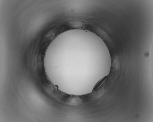 X0000113220572200910011348