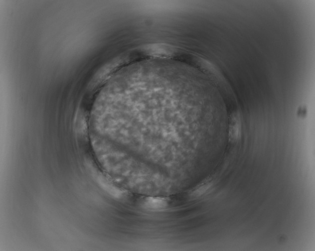 X0000113220573200910011348