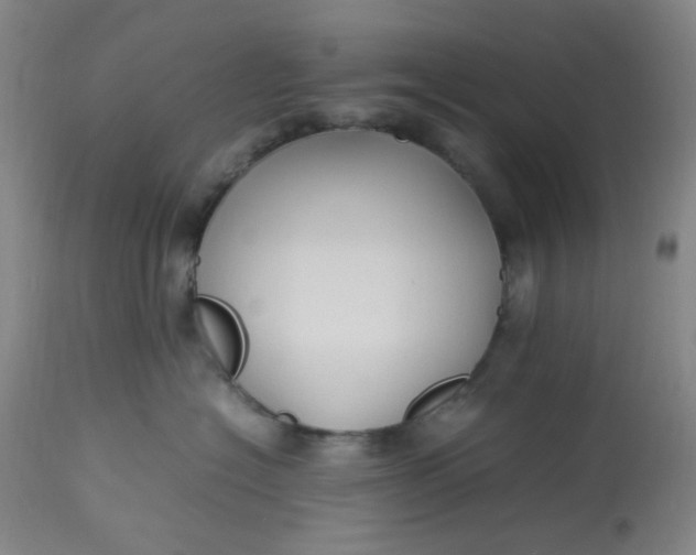 X0000113220574200910011348