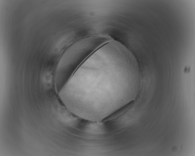 X0000113220576200910011348