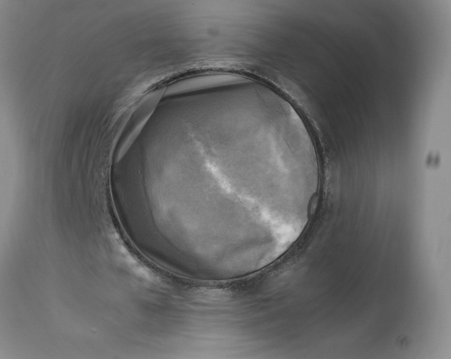 X0000113220577200910011347