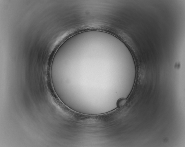 X0000113220578200910011347