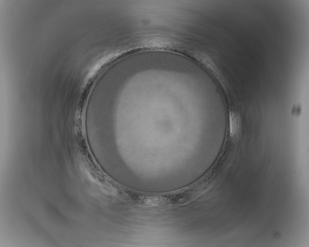 X0000113220579200910011347