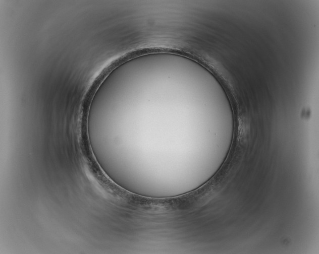 X0000113220580200910011347