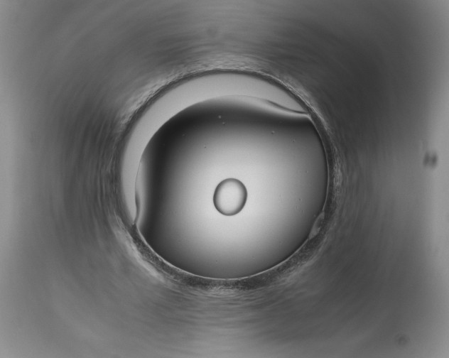 X0000113220581200910011347