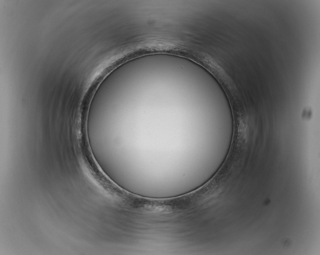 X0000113220582200910011347