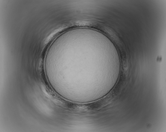 X0000113220583200910011347